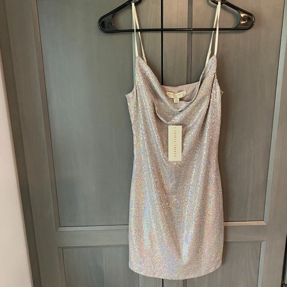 NWT Women's Thirty/Thirty metallic silver dress - Small